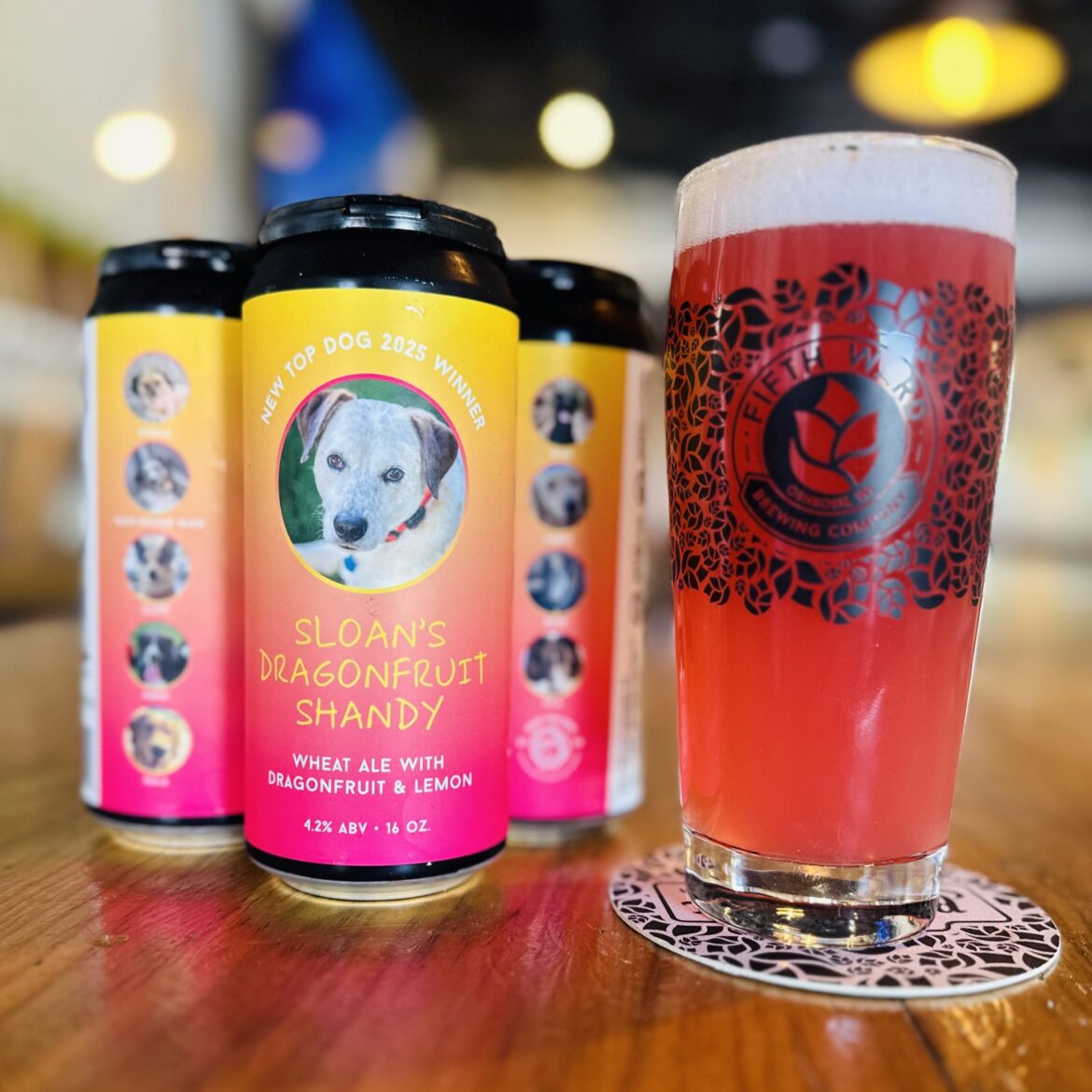 Sloans shandy photo